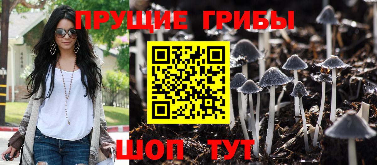 Кувандык  Галлюциногенные грибы MAGIC MUSHROOMS  Галлюциногенные грибы Magic Shrooms  Вход с VPN 